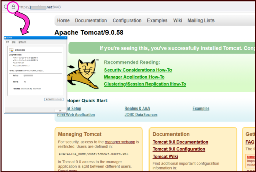 apache-tomcat-9.0.58